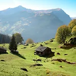Διαμέρισμα Grindelwaldgletscher By Interhome
