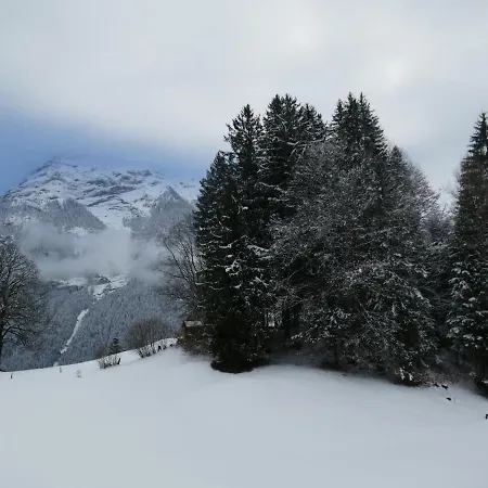 شقة Grindelwaldgletscher By Interhome *