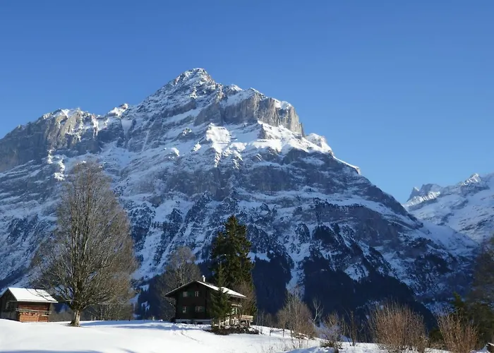 Apartment Grindelwaldgletscher By Interhome *