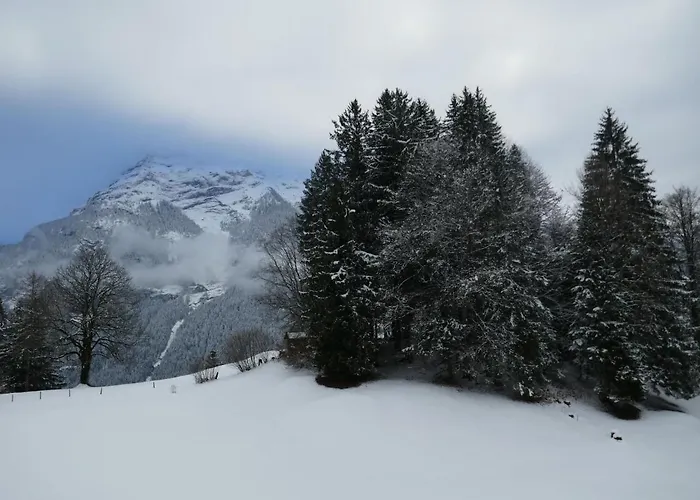 Lägenhet Grindelwaldgletscher By Interhome *