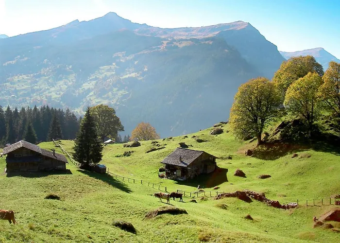 Apartment Grindelwaldgletscher By Interhome