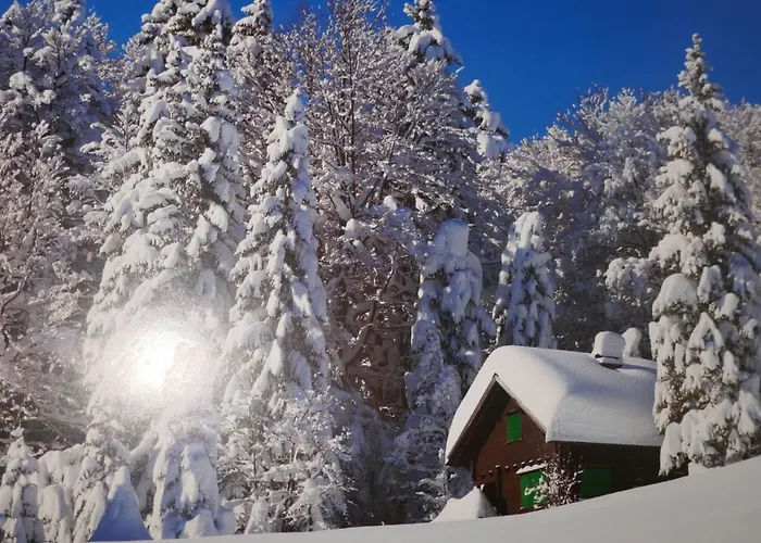 Grindelwaldgletscher By Interhome Apartment *