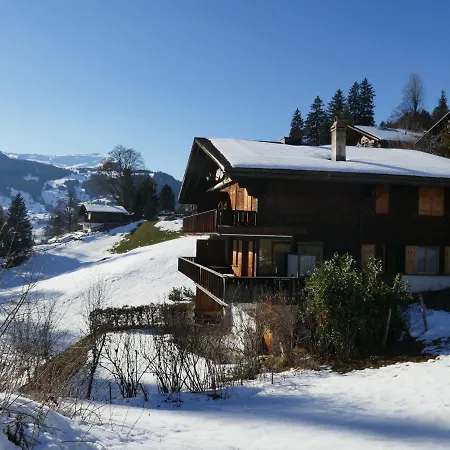 Grindelwaldgletscher By Interhome Apartment Grindelwald