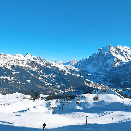 Apartment Grindelwaldgletscher By Interhome