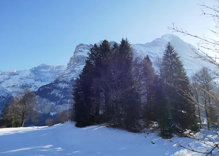 Grindelwaldgletscher By Interhome