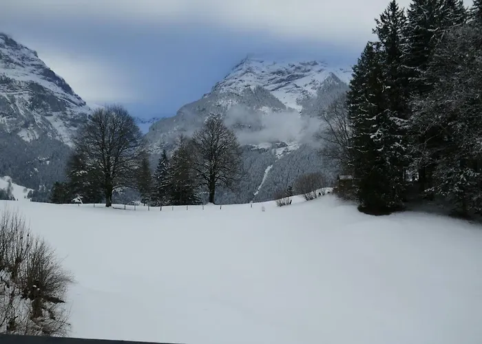 Grindelwaldgletscher By Interhome Апартаменты